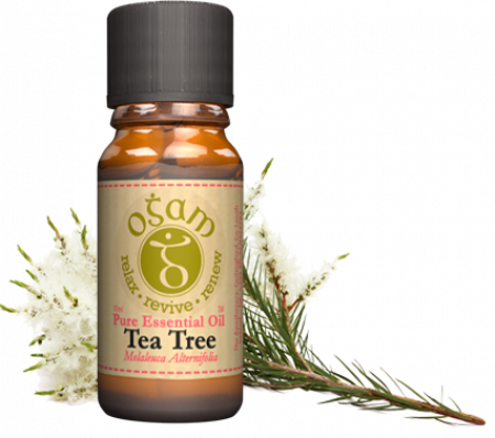 Buy tea tree oil online
