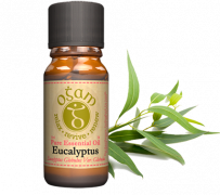 Buy eucalyptus oil online