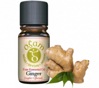 Buy ginger oil online